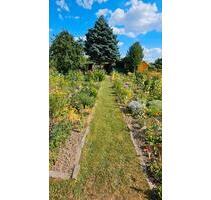 Garten, Kleingarten in Bischheim 