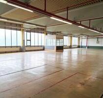 Große Lagerhalle in Göppingen – Mit Lastenaufzug, ab 4EURm²