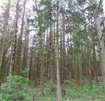 3.500,00 EUR Kaltmiete, ca.  0,00 m² in Mansfeld (PLZ: 06343)
