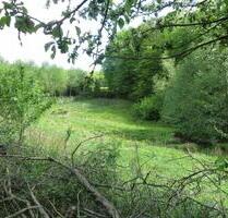 1.500,00 EUR Kaltmiete, ca.  0,00 m² in Mansfeld (PLZ: 06343)