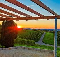 Weinberghaus zu verpachten, Weinberg, Stückle, Garten - Heilbronn Badener Hof