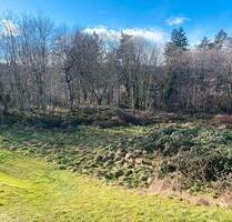 Gartenland, Weidefläche zur Pacht - Quedlinburg Gernrode