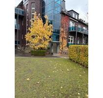 Betreutes wohnen im Zentrum von Sundern - Sundern (Sauerland)