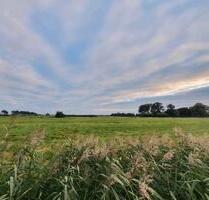 Kleingarten abzugeben in Brake - 300,00 EUR Kaltmiete, ca.  0,00 m² in Brake (Unterweser) (PLZ: 26919)