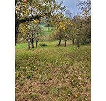 Obstwiese zu verpachten - 50,00 EUR Kaltmiete, ca.  0,00 m² in Bietigheim-Bissingen (PLZ: 74321)