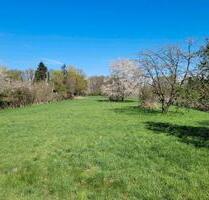 Gartengrundstück Gemüsegarten in Krefeld-Fischeln zu verpachten - Neukirchen-Vluyn