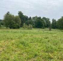 Wiese mieten - 200,00 EUR Kaltmiete, ca.  0,00 m² in Selb (PLZ: 95100)