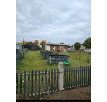 Kleingarten - 1.000,00 EUR Kaltmiete, ca.  0,00 m² in Arnstadt (PLZ: 99310)