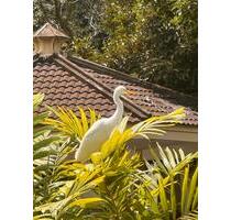 Urlaub in ThailandKhao Lak - ein oder zwei Doppelzimmer - Aachen Eilendorf