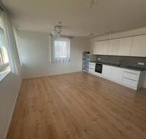 Maisonette Wohnung Neubau in Dettingen Iller zu vermieten - Memmingen