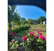 aus Altersgründen Garten abzugeben - Mittweida