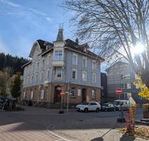 Gemütliche Wohnung | HFU nähe – 38 m2, möbliert 730€ Warm - Furtwangen im Schwarzwald