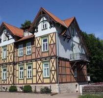 Charmante Altbauwohnung mit Balkon zum Hinterhof! - Wernigerode