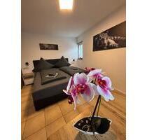 Ferienwohnung Monteurwohnung OXE 204 Ochsenfurt - Altertheim