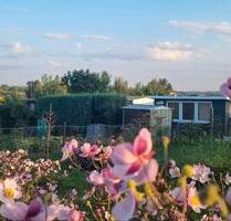 Pachtgarten Kleingarten Garten in Döbeln Nord