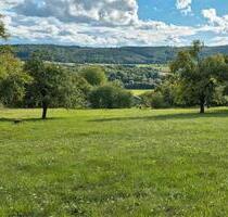 Gartengrundstück, Wochenendgrundstück am Sender zum vermieten - Ötisheim