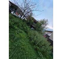 Kleingarten 19057 Neumühle-Sacktannen - Schwerin Friedrichsthal