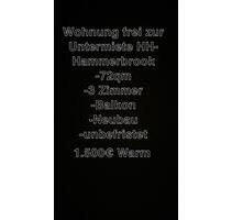 Ab den 1.9 Neubauwohnung zur Untermiete HH-Hammerbrook 72qm - Hamburg Hamburg-Mitte