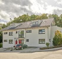 2 ZKB Dachgeschoss Wohnung mit Kamin und Garten - Trierweiler