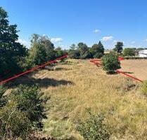 12 Hektar Pachtland, Weideland, 5007qm bei 06712 ZEITZ Elster