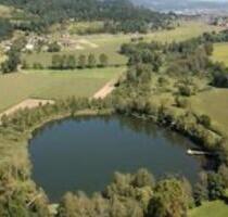 Teich in der Nähe von Neustadt zu verpachten - Neustadt in Holstein