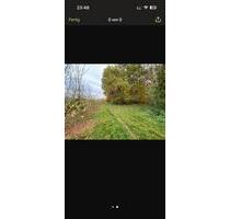 WieseWaldFreizeitgrundstück (IngelheimHeidesheim) - Ingelheim am Rhein