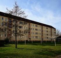 2-Raum-Wohnung - 265,00 EUR Kaltmiete, in Crimmitschau (PLZ: 08451)