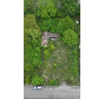 Baugrundstück in Ammelshain - 325.000,00 EUR Kaufpreis, in Naunhof (PLZ: 04683)