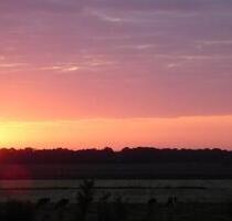 Top 3 Zimmer im Grünen. - 535,00 EUR Kaltmiete, ca.  62,00 m² in Großefehn (PLZ: 26629)