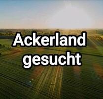 Ackerland Wiese Felder Großweier Unzhurst Ottersweier Sasbachried