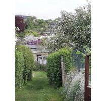 Wunderschöner Garten - 800,00 EUR Kaltmiete, ca.  0,00 m² in Schwerin (PLZ: 19055) Altstadt
