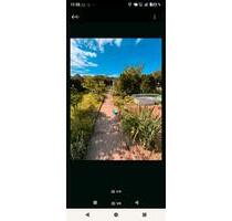 Kleingarten mit Häuschen, Obst & BBQ-Smoker – Erholung pur! - Nordhausen