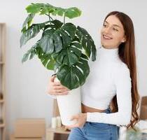 Ideal für den Start! - 132,00 EUR Kaltmiete, in Neubrandenburg (PLZ: 17034) Datzeberg