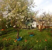 Schrebergarten - 63,00 EUR Kaltmiete, ca.  0,00 m² in Zittau (PLZ: 02763)