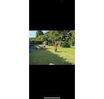 Schrebergarten - 100,00 EUR Kaltmiete, ca.  0,00 m² in Köln (PLZ: 51109) Kalk