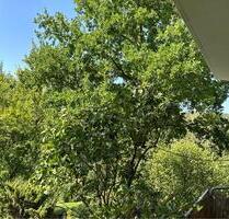 1-Zimmer-Einliegerwohnung mit Terrasse in Würzburg-Versbach