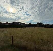 Grundstück in Ummern - 95.000,00 EUR Kaufpreis, ca.  0,00 m² in Gifhorn (PLZ: 38518)