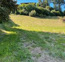 Baugrundstück Lasel - 35,00 EUR Kaltmiete, ca.  0,00 m² in Lasel (PLZ: 54612)