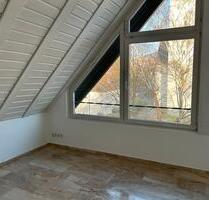 Großzügige 5-Zimmer-Wohnung mit Kamin und zwei Balkonen AB SOFORT - Lahr (Schwarzwald)