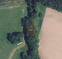 Stück Wald am Bach - Freizeitgrundstück - Löbau