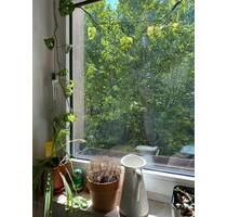Short Term Rental 3-15 June in Wedding Kurzzeitmiete Untermiete - Berlin Mitte