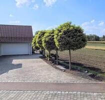1,5 Zimmer Wohnung 30qm 87751 Heimertingen - Memmingen