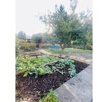 Garten mit Laube - 3.500,00 EUR Kaltmiete, ca.  0,00 m² in Leipzig (PLZ: 04299) Südost