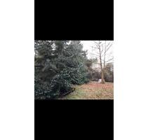 Garten zu verpachten - 150,00 EUR Kaltmiete, ca.  0,00 m² in Wendeburg (PLZ: 38176)
