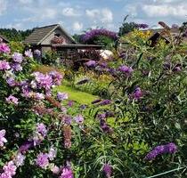 Schrebergarten Kleingarten 38112 Braunschweig