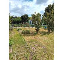 Garten abzugeben - 300,00 EUR Kaltmiete, ca.  0,00 m² in Salzgitter (PLZ: 38239) Ortschaft Ost