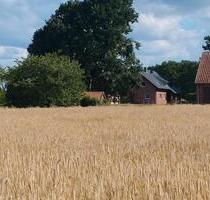 solides, gepflegtes Wohnhaus auf altem Bauernhof - Ostercappeln