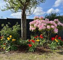 Schöne Wohnung mit Garten in Jöllenbeck zu vermieten. - Bielefeld