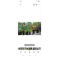 Verkaufe Reihenendhaus - 385.000,00 EUR Kaufpreis, in Täferrot (PLZ: 73527)