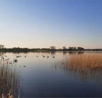 Ferienhaus am Angelsee mit Angelboot Mecklenburg Schwerin Hund